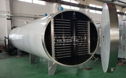 大型食品凍干機交付廣西，賦能果蔬凍干深加工技術升級